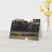 キット·グリーティング·カード#2 カード (黄色い花)