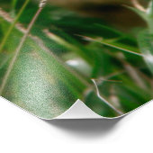 キッドヤギ フォトプリント            (角)