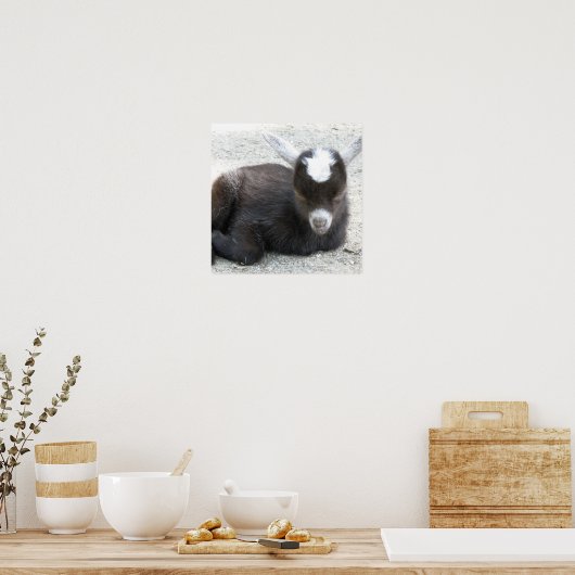 キッドヤギ ポスター (キッチン)