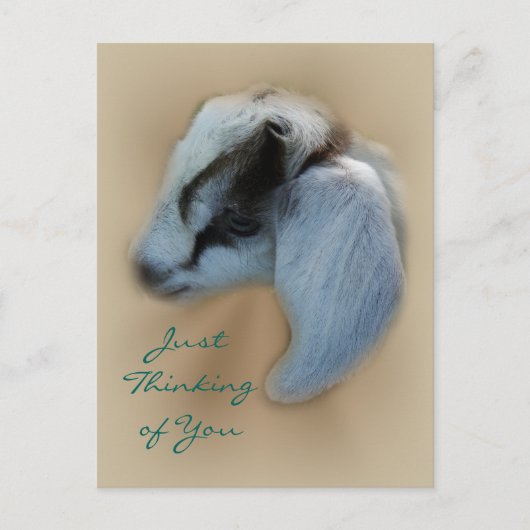 キッド・ヤギの葉書カスタマイズ-  ポストカード (正面)