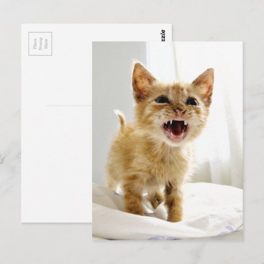 キッ怒テン ポストカード (正面/裏面)