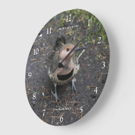 キツツキのオカメフシギダカの鳥瞰図 ラージ壁時計