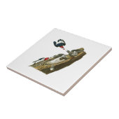 キツツキのジョン赤い先頭に立たれたAudubonの鳥アメリカ タイル (側面)