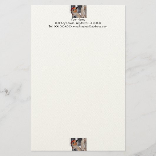 キツツキのポートレートの文房具 便箋 (正面)