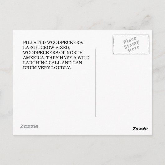 キツツキの木の巣の空洞はがき ポストカード (裏面)