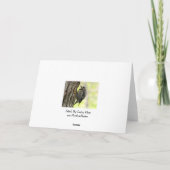 キツツキの父の日の挨拶状 カード (裏面)