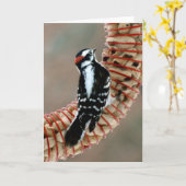 キツツキ カード (黄色い花)