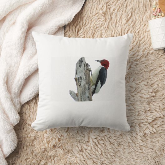 キツツキ クッション (ブランケット)
