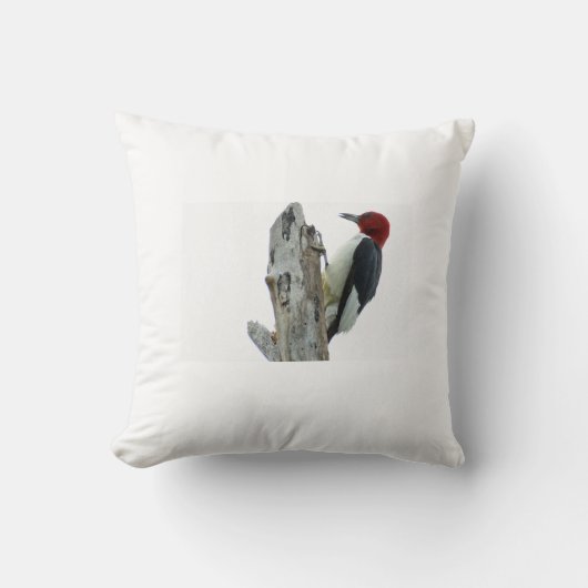 キツツキ クッション (正面)