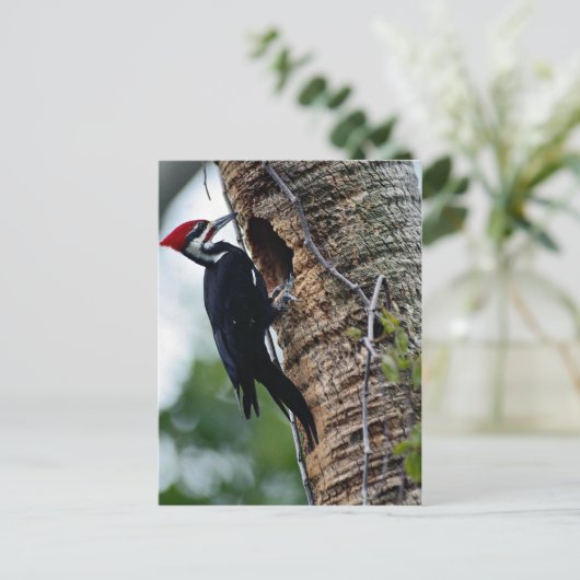 キツツキ ポストカード (スタンド正面)