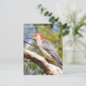 キツツキ ポストカード (スタンド正面)