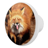 キツネが舌を出す セラミックノブ (右)