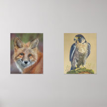 キツネとペレグリン《鳥》ハヤブサプリント