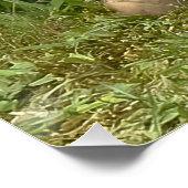 キツネの子友達 ポスター (コーナー)