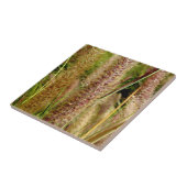 キツネの尾草のマクロ写真撮影の写真 タイル (側面)