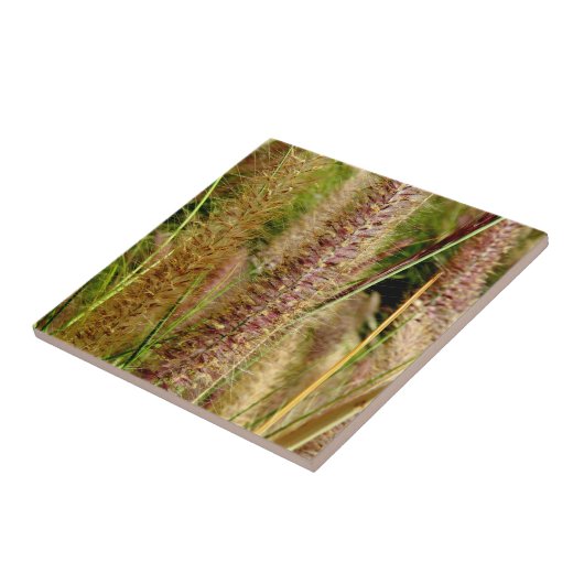 キツネの尾草のマクロ写真撮影の写真 タイル (側面)