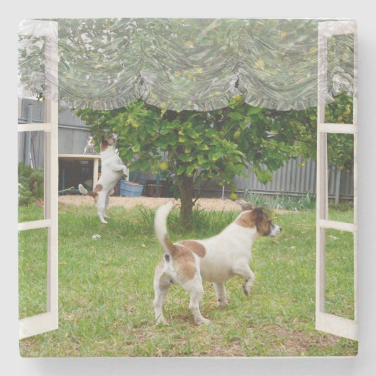 キツネの恐怖が庭を探検していた ストーンコースター (正面)