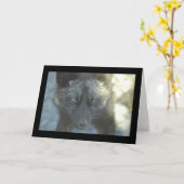 キツネの挨拶状 カード (黄色い花)