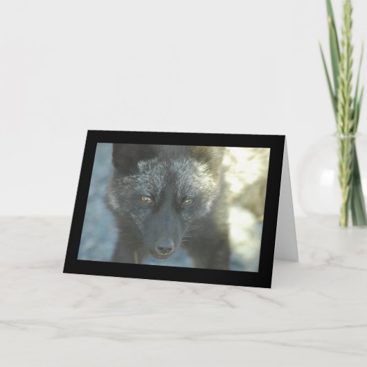 キツネの挨拶状 カード (正面)