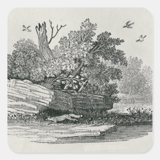 キツネの脱出'の一般的な歴史 スクエアシール (正面)