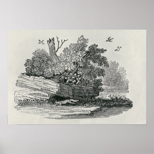 キツネの脱出'の一般的な歴史 ポスター (正面)