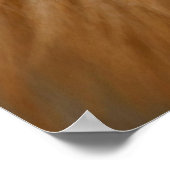 キツネの赤い毛質 ポスター (角)