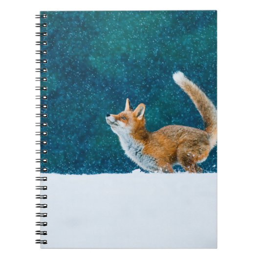 キツネの降雪。赤いキツネ、ハゲワシ、ジャンプ ノートブック (正面)