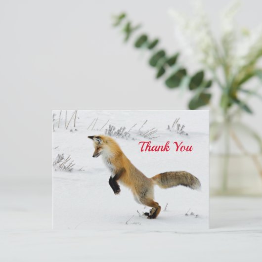 キツネの雪中ジャンプ写真ありがとう ポストカード (スタンド正面)