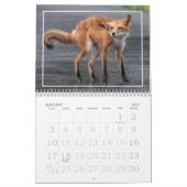 キツネは楽しいカレンダー カレンダー (1月 2027)