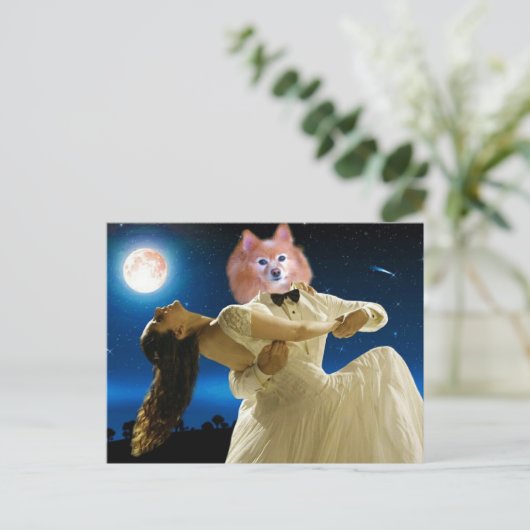 キツネは踊り ポストカード (スタンド正面)