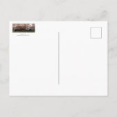 キツネを苔に置く ポストカード (裏面)