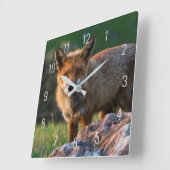 キツネアットゴールデンサンセットinオーストラリア接写ポートレート スクエア壁時計 (傾斜)