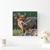 キツネアットゴールデンサンセットinオーストラリア接写ポートレート スクエア壁時計 (ホーム)