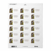 キツネアドレス ラベル (フルシート)