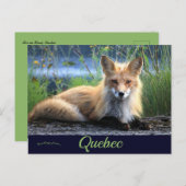 キツネインPerece Quebecカナダ ポストカード (正面/裏面)