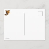 キツネオンスノーフォトプリント ポストカード (裏面)