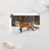 キツネオン・スノー カード (正面/裏面インサイチュ)