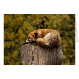 キツネカード-すべての行事のためのブランク-カスタム・カード