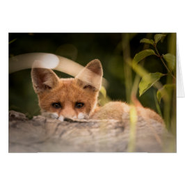 キツネカード-すべての行事のためのブランク-カスタム・カード