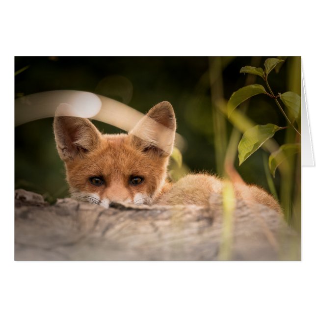 キツネカード-すべての行事のためのブランク-カスタム・カード (正面横)