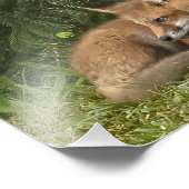 キツネキットパール フォトプリント            (角)