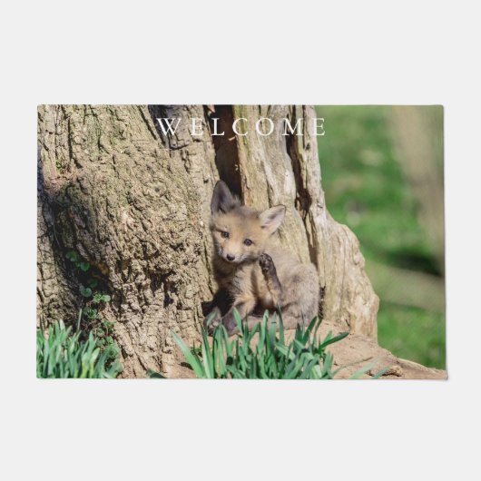 キツネキットin the Hudson Valley ドアマット (正面)