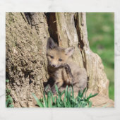 キツネキットin the Hudson Valley ビールラベル (シングルラベル)