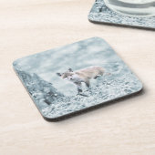 キツネキューブインザスノー コースター (左側)