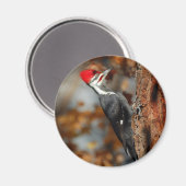 キツネギリ磁石 マグネット (正面/裏面)