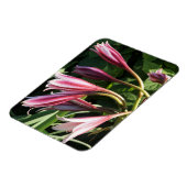 キツネギリ マグネット (左側)