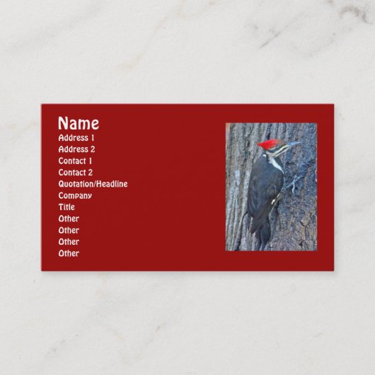 キツネザルのコーディネート 名刺 (正面)