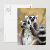 キツネザル愛 ポストカード (正面/裏面)