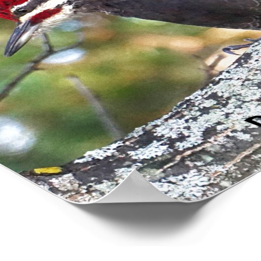 キツネザル男 ポスター (角)