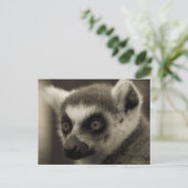 キツネザル顔 ポストカード (スタンド正面)